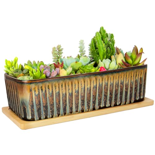 Succulent Pots (Flow Glaze)