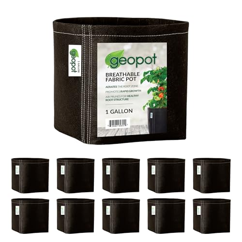 1 Gallon Fabric Grow Bags for Vegetables (1 Gallon (10-Pack) / No Handles)