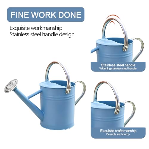 Metal Watering Can for Outdoor and Indoor Plants (Blue)