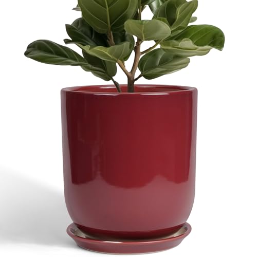 Ceramic Planter for Plants