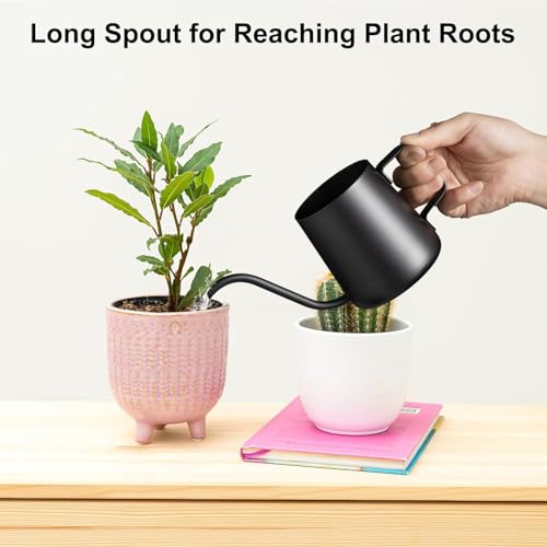 Watering Can Indoor Plants