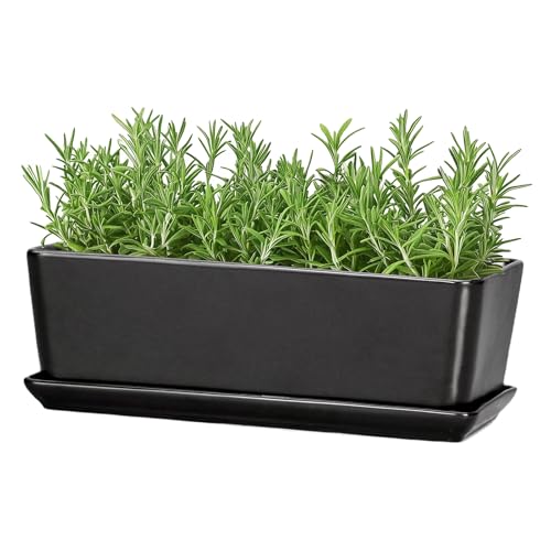 Rectangle Planter