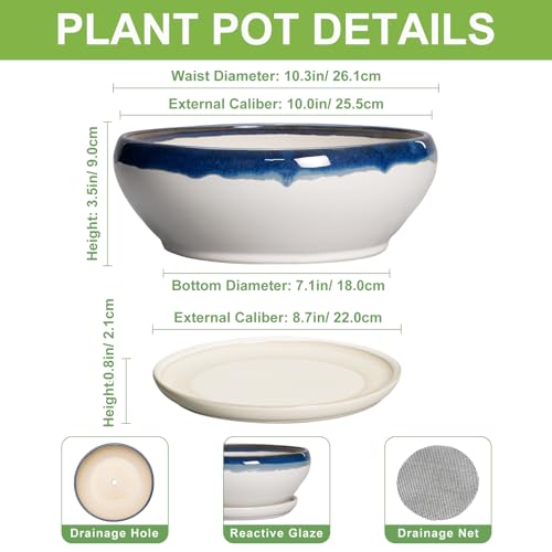 Bonsai Pots 10 Inch Ceramic Pots for Succulents (10 Inch / Blue Off-white)