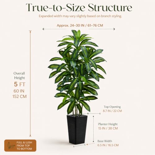 Artificial Dracaena Tree (Dark Green – Black Pot / 5FT)