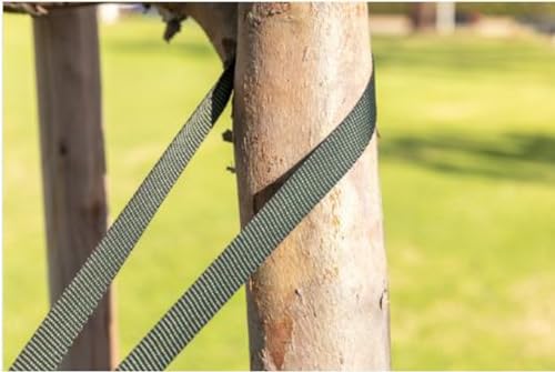 Tree Straps for Staking