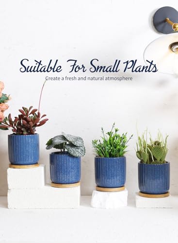 4 Inch Cylinder Ceramic Plant Pots with Trays (Blue(4inch))