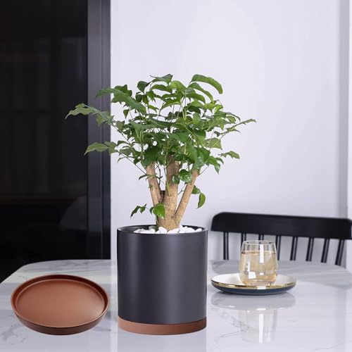 4 Pack Ceramic Plant Saucer Pot Tray 4 Inch ((4.5"/4.1")-4pack / Brown)