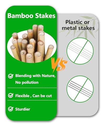Natural Bamboo Plant Stake (4ft-30PCS)