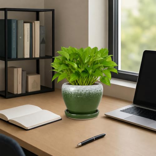 6 Inch Plant Pots (Blackish Green / 6 Inch)