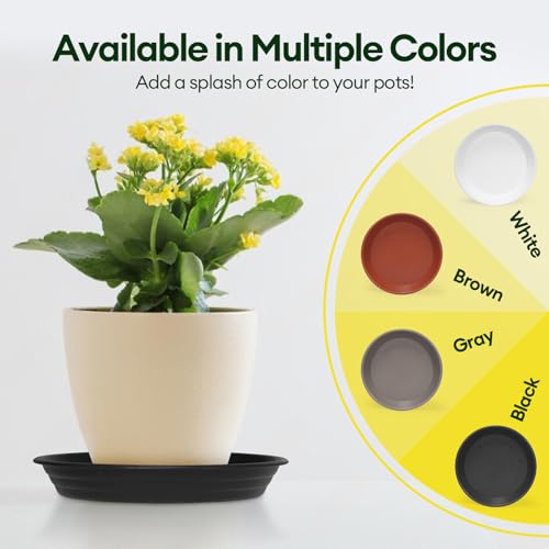 4 Pack 12" Plant Saucers Heavy Duty Plastic Plant Trays for Pots (12"(4 pack) / Multicolor Set)