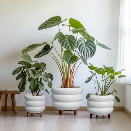Ceramic Planter Pot 13.5 Inch
