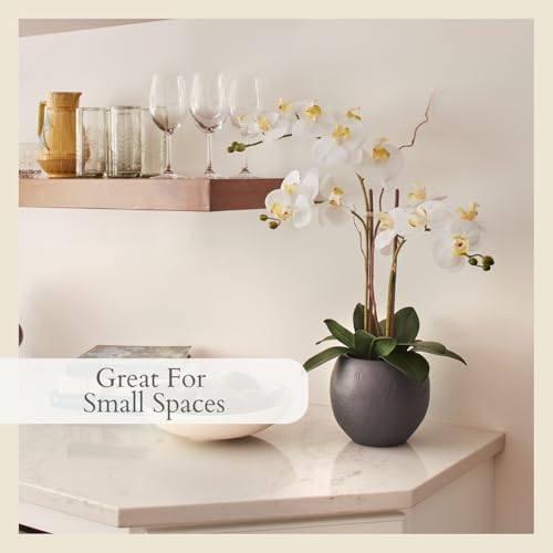 Faux White Orchid Plant
