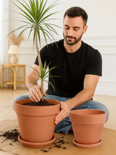 Terracotta Pot with Saucer 10&12 Inch (10/12 inch -2 pcs)