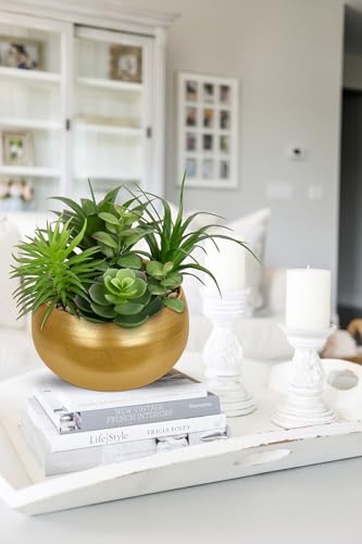 Fake Plants Artificial Succulents in Pots Faux Succulent Arrangement Potted Plant in Gold Ceramic Planter Bowl for Home Decor Office Desk Bathroom Shelf Living Room Indoor Decorations (Premium Gold)