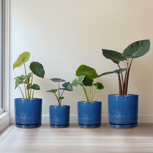 8 Inch Planter (8 Inch / Blue - 2)