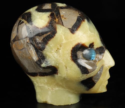 3.5" Dragon Septarian Stone Hand Carved Fairy Elf Alien Crystal Skull Companion with Eyes (Skullis 3.5" Dragon Septarian Stone 81)