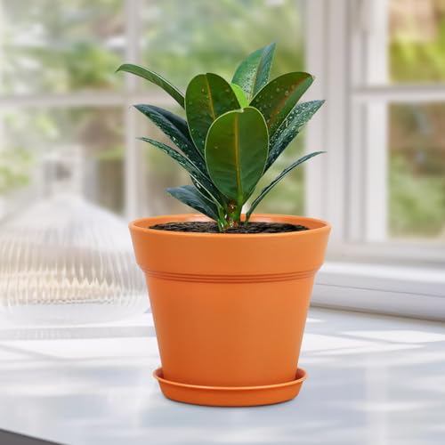 4 inch Small Plastic Nursery Pots (16 Count)