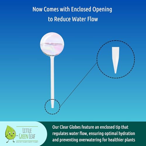 Plant Watering Globes 6 Pack (6pk 200ml Clear Rainbow)