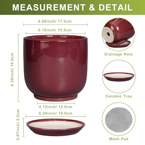 Ceramic Planter for Plants (7 Inch / Red)