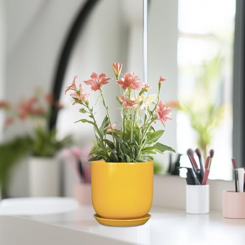 Plant Pot 5 Inch (5.3 Inch / Gloss Yellow)