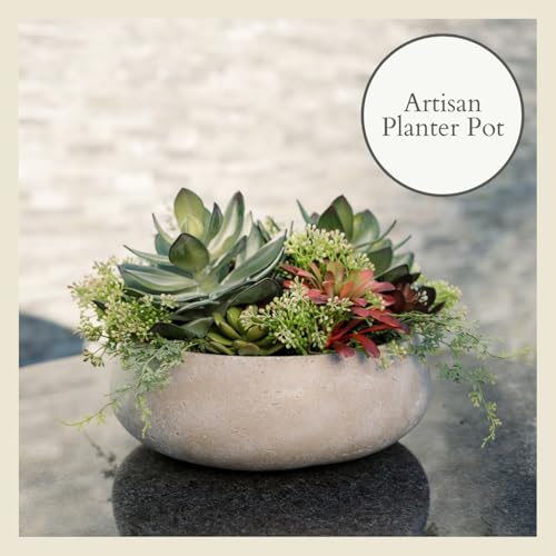 Round Faux Succulent Arrangement