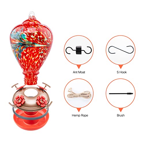 Hummingbird Feeders for Outdoors Hanging (Phoenix Flying)