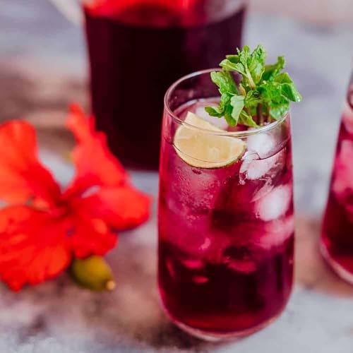 Red Hibiscus rosa (2 Count)
