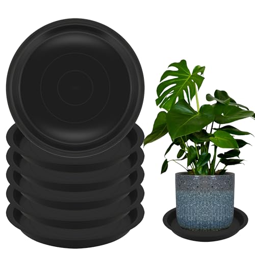 6 Pack 8 Inch Round Plant Saucers for Less 6.8 Inch Pot Indoors Outdoors Plant Trays for Pots Planter Saucer Plastic Plant Drip Tray Planter Water Tray for Potted Plants (8"(6pcs) / Black)