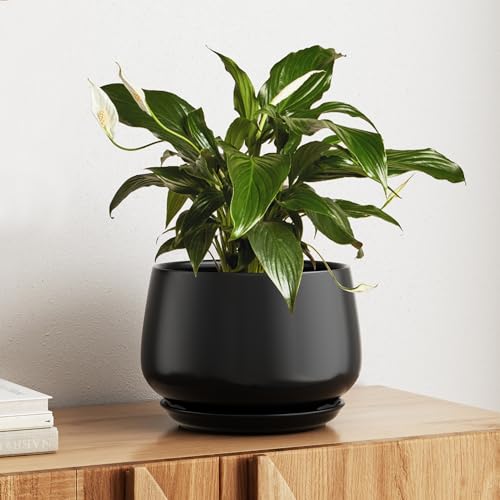 Ceramic Planter