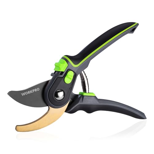 Pruning Shears