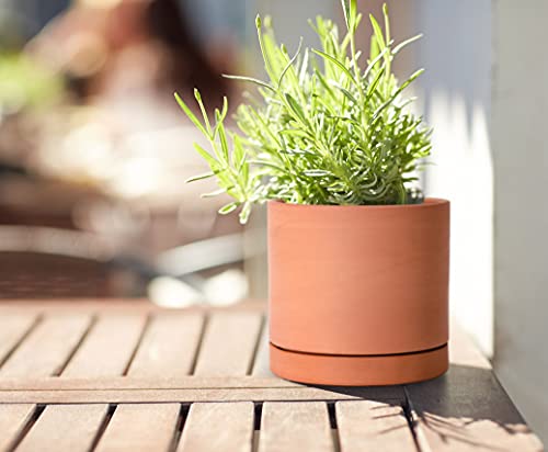 Terracotta Plant Pot with Saucer