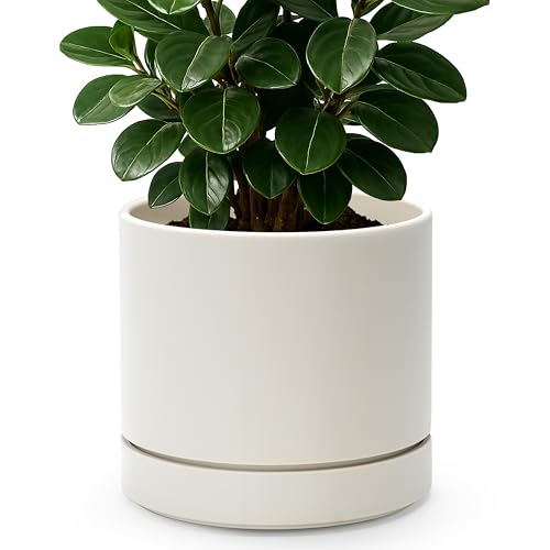 8 Inch Planter Pot with Drainage Hole & Saucer (8" (1 Pack) / Oatmeal)