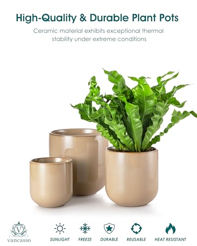 Ceramic Plant Pots (3 Count)