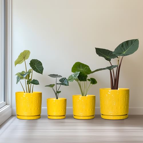 6 Inch Pots for Plants (6 Inch / Yellow)