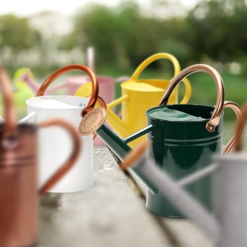 Metal Watering Can with Removable Spout