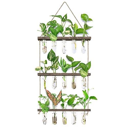 Wall Hanging Propagation Station with Wooden Stand 5 Glass Test Tubes 3 Tiered Planters Wall Terrarium for Home Office Plant Hanger Flower Vases Wall Decor Hydroponic Cuttings