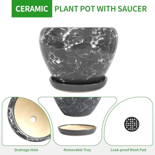 6 Inch Plant Pots (Gemstone Gray / 6 Inch)