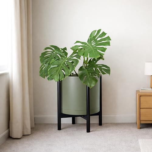 Plastic Pot with Ebony Wood Stand (Olive Pot + Ebony Stand / 16 Inch)