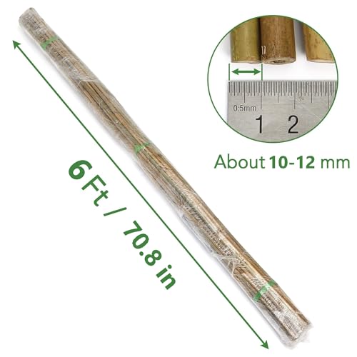 65 Pack 6 Feet Garden Bamboo Stakes for Plant Support (6 Feet - 65 Pack)