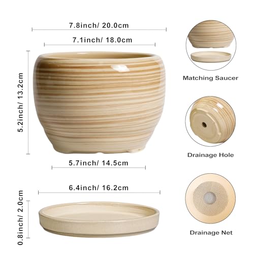 Ceramic Planter