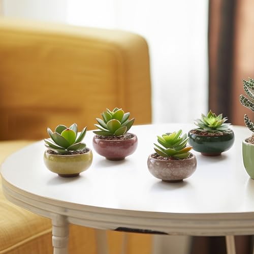Mini Succulent Pots (6 Count)