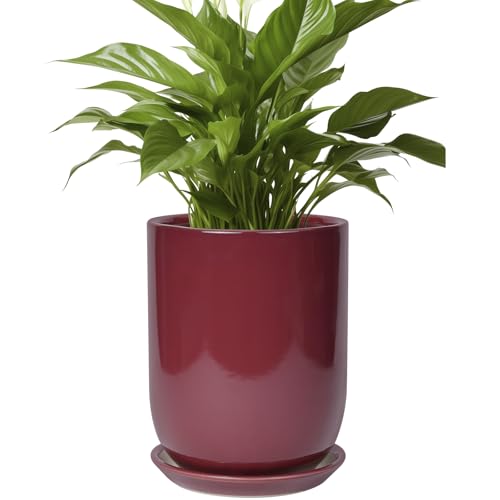 Ceramic Pot for Plants