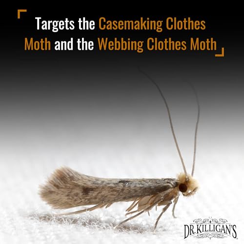 Premium Clothing Moth Traps with Pheromones (Black)