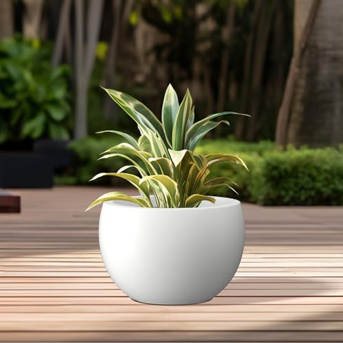 Accent Round Bowl White Concrete Planter 15.7" Dia (Pure White / 15.7" d)