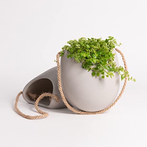 Wall Planters (Set of 2 - Large / Light Grey (Matte))