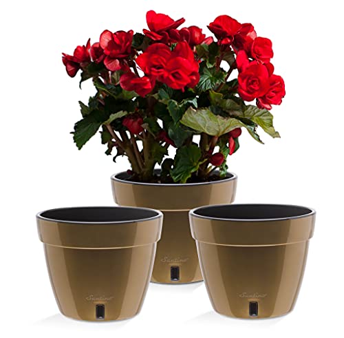 ASTI 7.1 Inch Self Watering Planters Gold