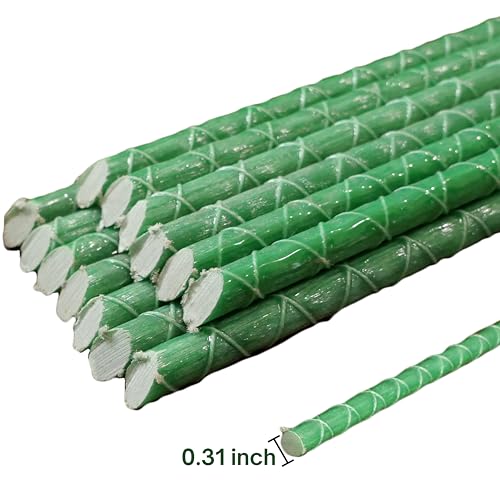 5 Ft Fiberglass Eco Friendly Garden Stakes 100 Pack (100 Count)