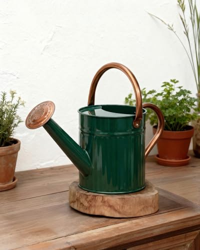 Metal Watering Can for Indoor Outdoor Plant 1 (Deep Green)