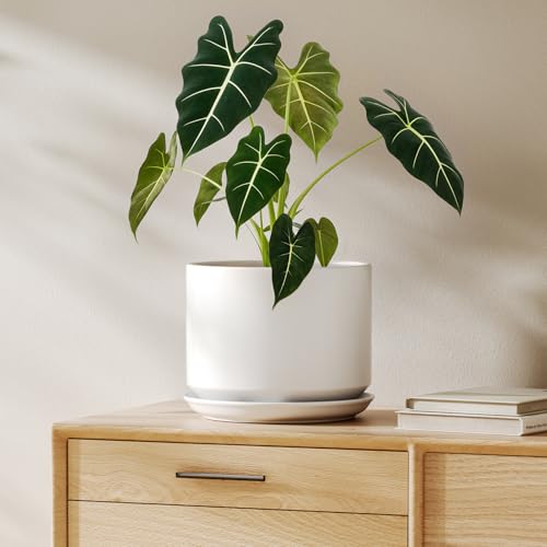 8 Inch Plant Pot (White / 8")