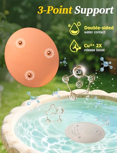 Bird Bath Copper Disc & Clean Set (Copper Clean Set)